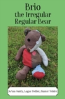 Brio, the Irregular Regular Bear - Book