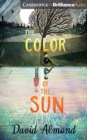 COLOR OF THE SUN THE - Book