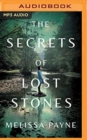SECRETS OF LOST STONES THE - Book