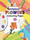 Copy to Colour Flowers Colouring Pages - Book