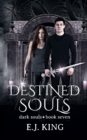 Destined Souls - Book