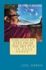 Through My Eyes From The Sky, Part 2; In God's Hands - Book