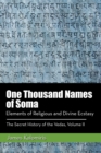 One Thousand Names of Soma : Elements of Religious and Divine Ecstasy - eBook