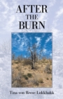 After the Burn - eBook