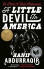Little Devil in America - eBook