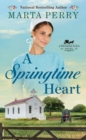 A Springtime Heart - Book