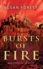 Bursts of Fire - Book