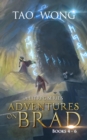 Adventures on Brad Books 4 - 6: A LitRPG Boxset - eBook