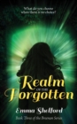 Realm of the Forgotten - Book