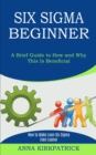 Six Sigma Beginner : How to Make Lean Six Sigma Even Leaner (A Brief Guide to How and Why This Is Beneficial) - Book