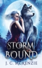 Stormbound - Book