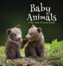 Baby Animals, A No Text Picture Book : A Calming Gift for Alzheimer Patients and Senior Citizens Living With Dementia - Book