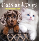 Cats and Dogs, A No Text Picture Book : A Calming Gift for Alzheimer Patients and Senior Citizens Living With Dementia - Book