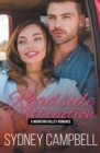 Roadside Attraction - Book