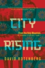City Rising: From the Holy Mountain - Book