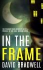 In The Frame : Prequel Mystery Novella - Anna Burgin Series Book 3 - Book