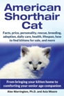 American Shorthair Cat : From bringing your kitten home to comforting your senior age companion - Book