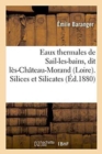 Eaux Thermales de Sail-Les-Bains, Dit Les-Chateau-Morand Loire. Silices Et Silicates. Etudes - Book
