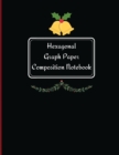 Hexagonal Graph Paper Composition Notebook - Book