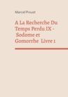 A La Recherche Du Temps Perdu IX : Sodome Et Gomorrhe Premiere Partie - Book