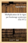 Multiplication de la Vigne Par Bouturage Souterrain - Book