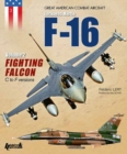 F-16 Volume 2: Fighting Falcon C F - Book