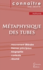 Fiche de lecture Metaphysique des tubes de Amelie Nothomb (Analyse litteraire de reference et resume complet) - Book