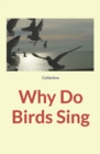 Why Do Birds Sing - Book