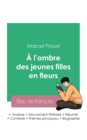 Reussir son Bac de francais 2023 : Analyse du roman A l'ombre des jeunes filles en fleurs de Marcel Proust - Book