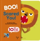 Boo! Scared You! - Book