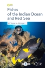 Fishes of the Indian Ocean and Red Sea - eBook