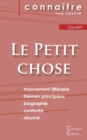 Fiche de lecture Le Petit chose de Alphonse Daudet (Analyse litteraire de reference et resume complet) - Book