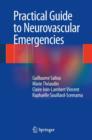 Practical Guide to Neurovascular Emergencies - eBook