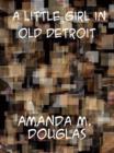 A Little Girl in Old Detroit - eBook