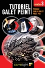 TUTORIEL GALET PEINT - Numero 3 : Peindre sur un galet pas a pas - Book