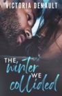 The Winter We Collided - Book