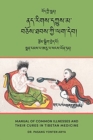Manual of Common Illnesses and Their Cures in Tibetan Medicine (Nad rigs dkyus ma bcos thabs kyi lag deb) - Book