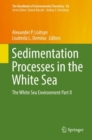 Sedimentation Processes in the White Sea : The White Sea Environment Part II - Book