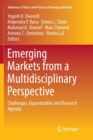 Emerging Markets from a Multidisciplinary Perspective : Challenges, Opportunities and Research Agenda - Book