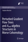Perturbed Gradient Flow Trees and A -algebra Structures in Morse Cohomology - Book