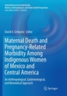 Maternal Death and Pregnancy-Related Morbidity Among Indigenous Women of Mexico and Central America : An Anthropological, Epidemiological, and Biomedical Approach - Book