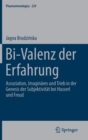 Bi-Valenz der Erfahrung : Assoziation, Imaginares und Trieb in der Genesis der Subjektivitat bei Husserl und Freud - Book