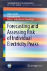 Forecasting and Assessing Risk of Individual Electricity Peaks - Book