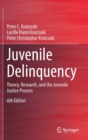 Juvenile Delinquency : Theory, Research, and the Juvenile Justice Process - Book