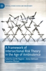 A Framework of Intersectional Risk Theory in the Age of Ambivalence - Book