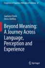Beyond Meaning: A Journey Across Language, Perception and Experience - Book