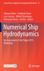 Numerical Ship Hydrodynamics : An Assessment of the Tokyo 2015 Workshop - Book
