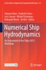 Numerical Ship Hydrodynamics : An Assessment of the Tokyo 2015 Workshop - Book