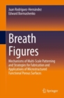 Breath Figures : Mechanisms of Multi-scale Patterning and Strategies for Fabrication and Applications of Microstructured Functional Porous Surfaces - Book