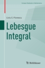 Lebesgue Integral - Book